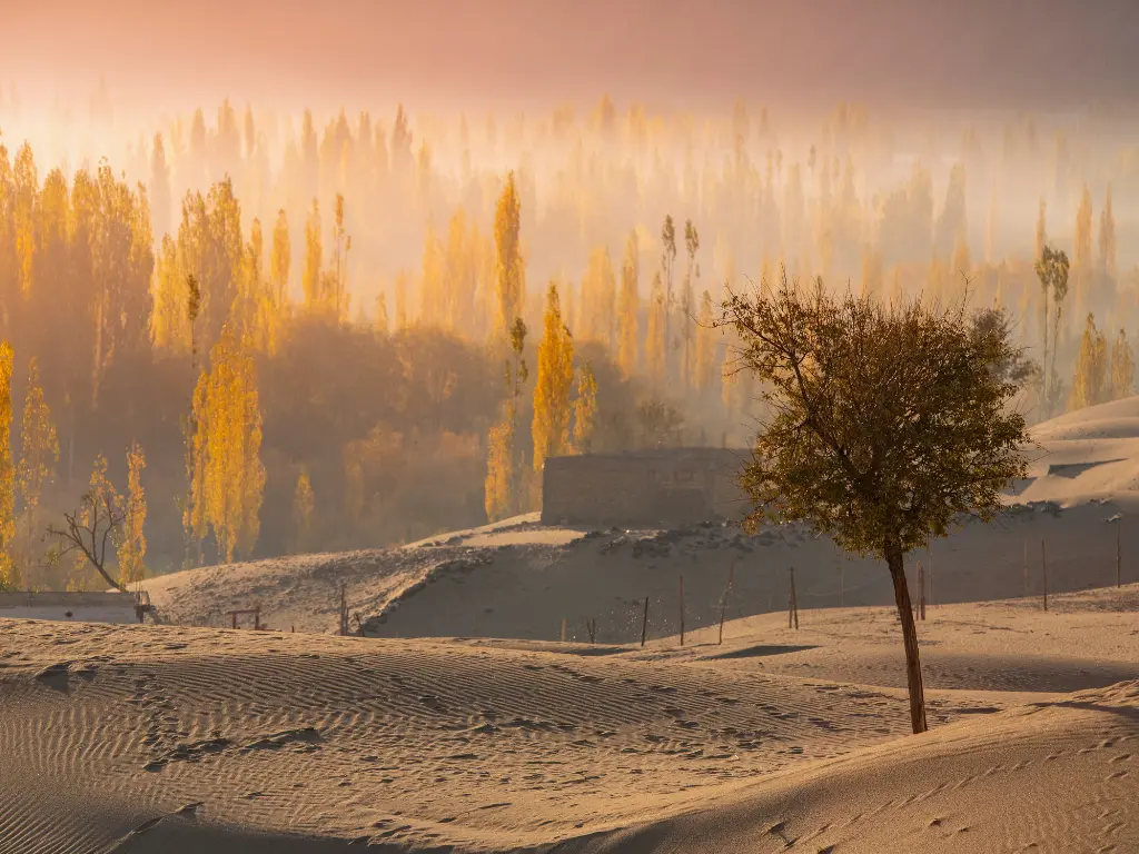 Cold Desert, Shigar, Baltistan (5)