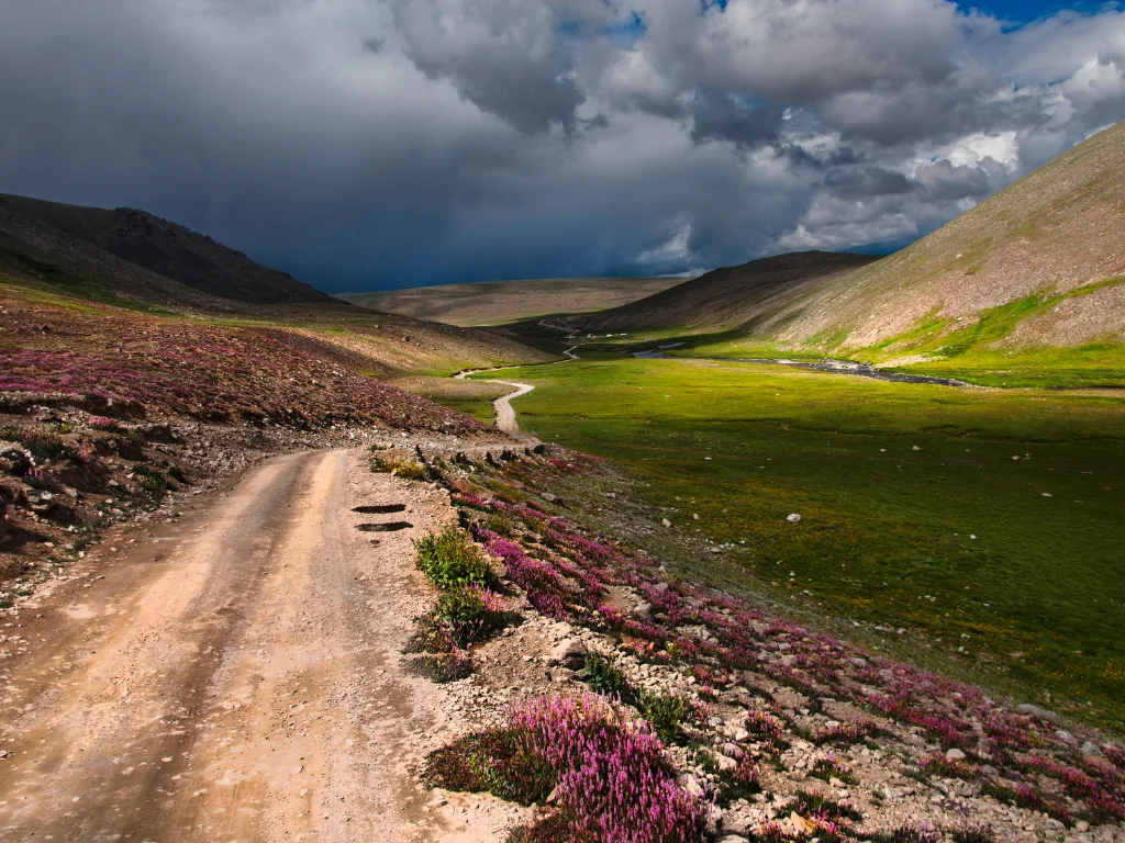 Deosai (3)