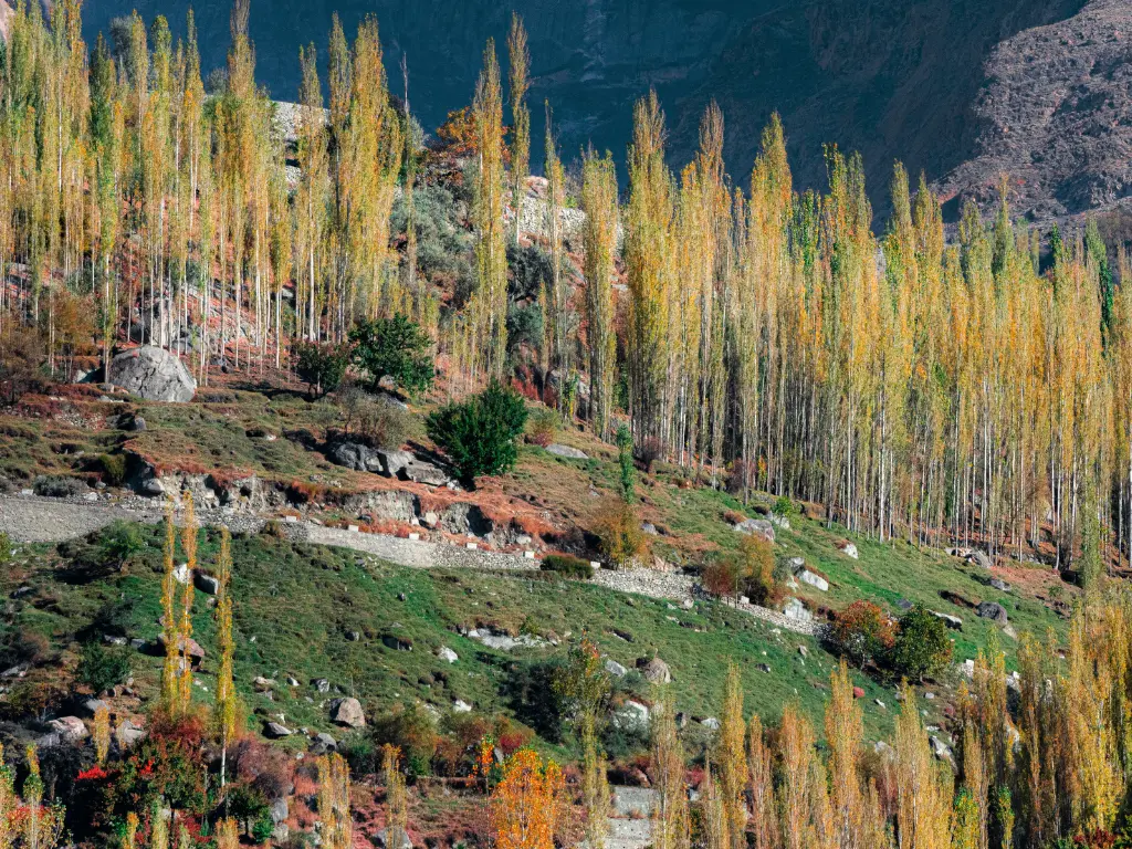 Hunza (7)