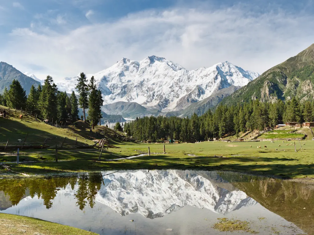 Nanga Parbat, Fairy Meadows (2)