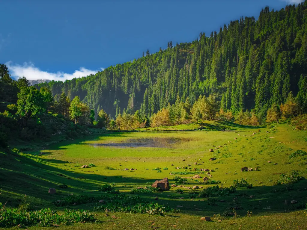 Naran