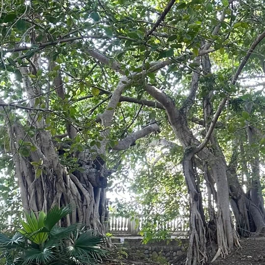 5b5dcad4-5c0d-4c61-b41f-ca067dcdedbf