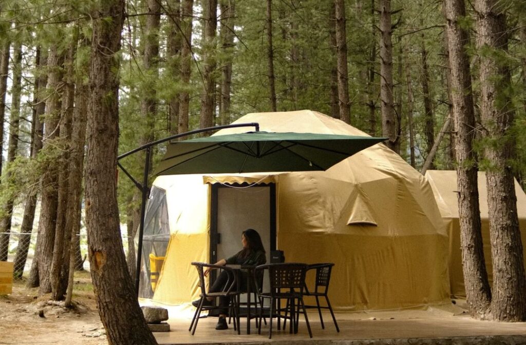 Latitude 11