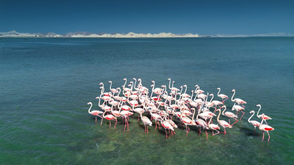 WhatsApp Image 2025-11-01 at 19.01.31 (1)