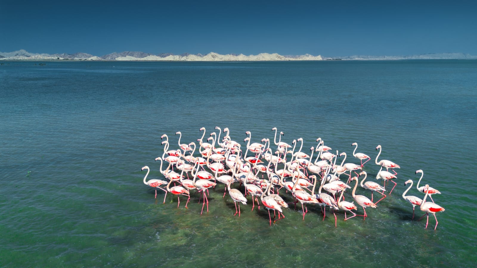 WhatsApp Image 2025-11-01 at 19.01.31 (1)