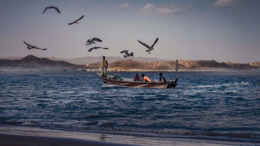 WhatsApp Image 2025-11-01 at 19.01.45 (2)