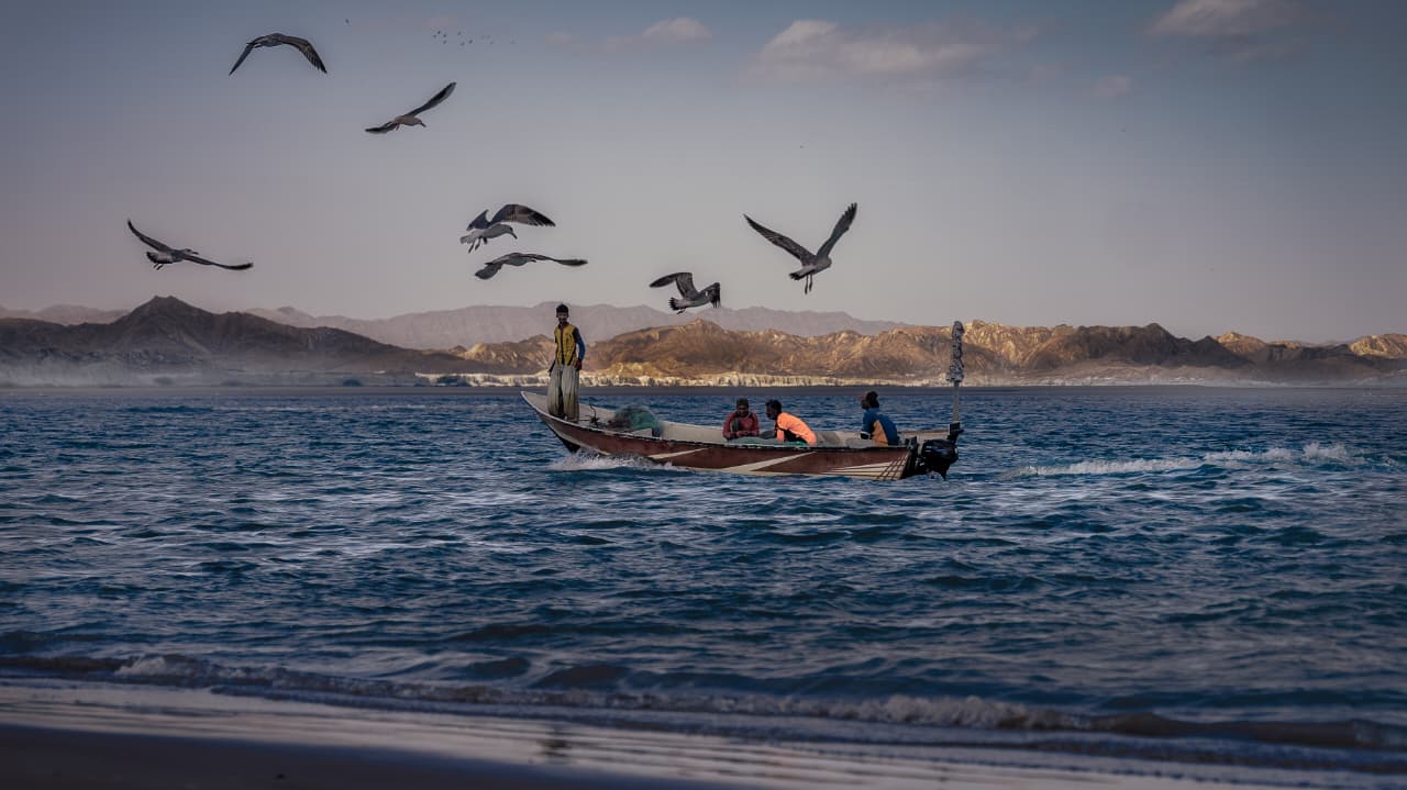 WhatsApp Image 2025-11-01 at 19.01.45 (2)