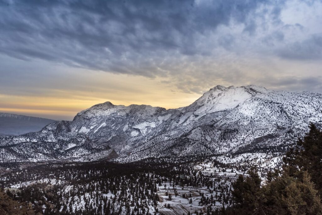 WhatsApp Image 2025-11-01 at 19.01.46 (1)