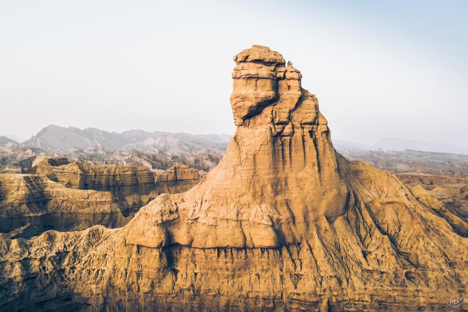 WhatsApp Image 2025-11-01 at 19.02.01 (1)