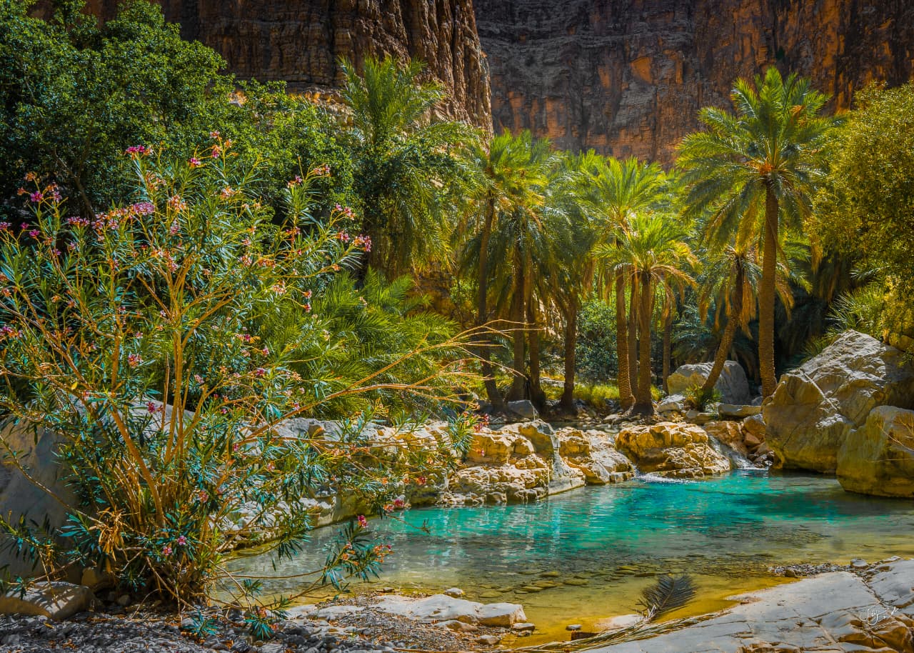 WhatsApp Image 2025-11-01 at 19.02.01