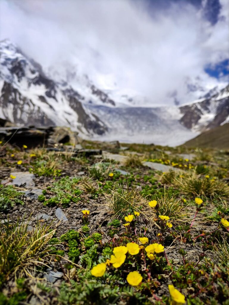 WhatsApp Image 2025-11-04 at 00.58.27