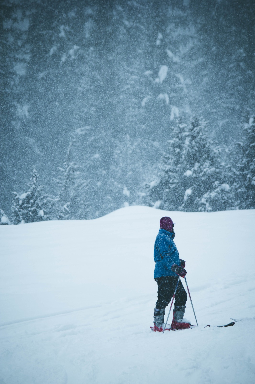 WhatsApp Image 2025-11-05 at 07.13.17