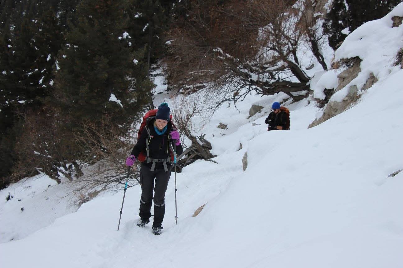 WhatsApp Image 2025-11-09 at 01.35.24 (1)