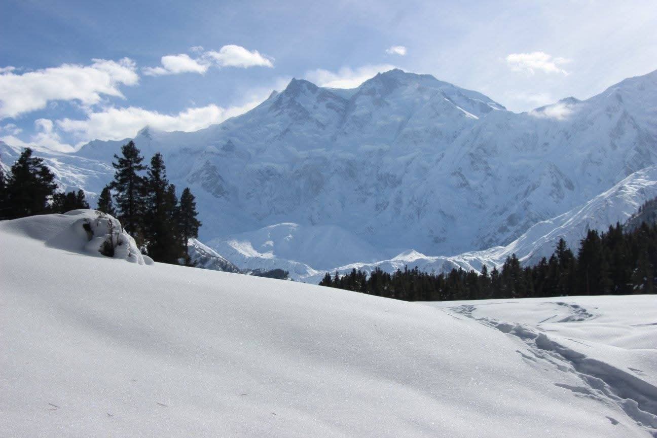 WhatsApp Image 2025-11-09 at 01.35.24