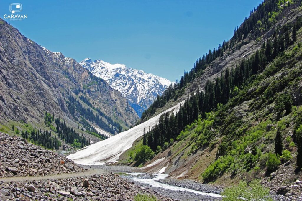 WhatsApp Image 2025-11-09 at 01.59.41 (1)