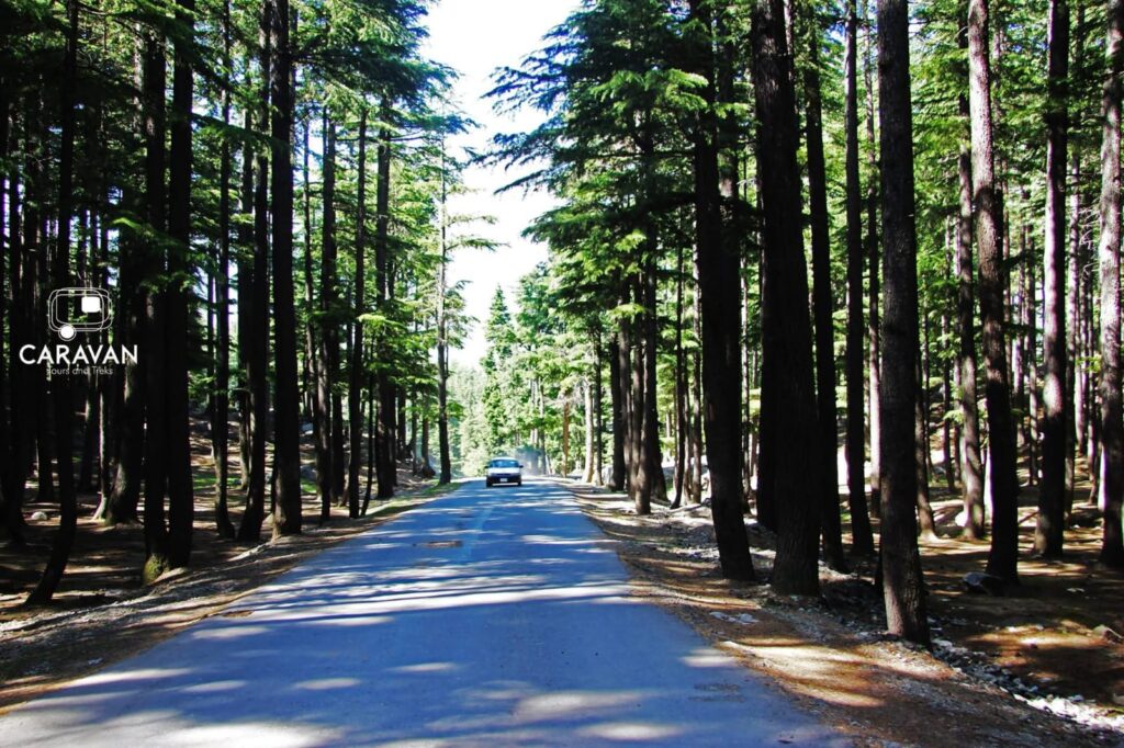 WhatsApp Image 2025-11-09 at 01.59.41