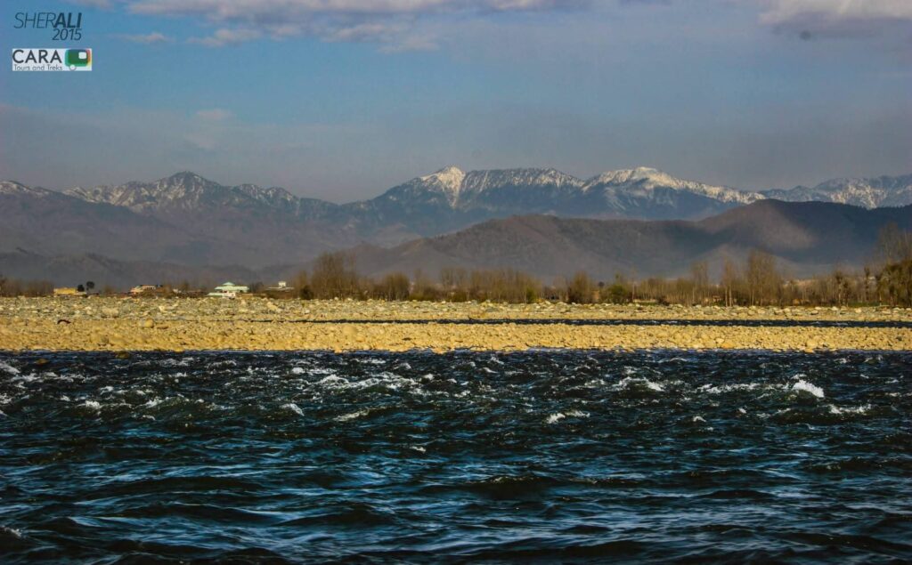 WhatsApp Image 2025-11-09 at 01.59.42