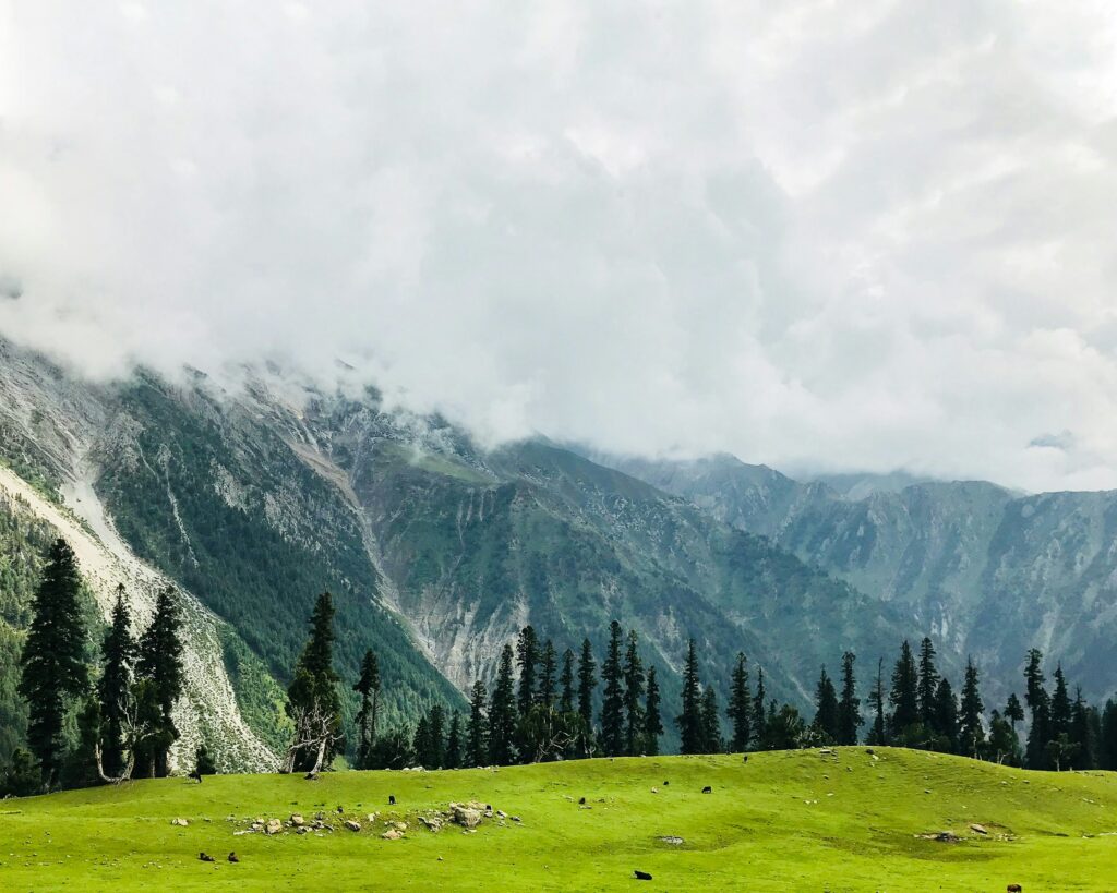 bhavesh-sawant-0Qwks3FIeQc-unsplash