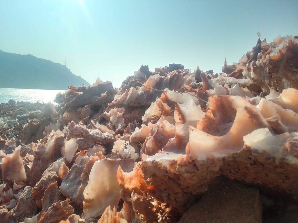 e00abae0-108b-4377-aec8-e4c4a6568cc8