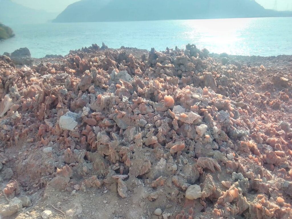 fc185d33-cd73-4995-8a05-b734fe347c1c