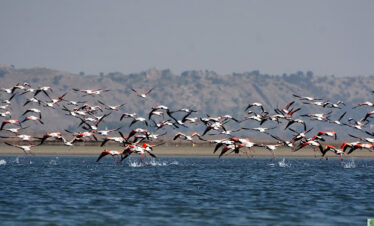 Soon Valley Birdwatching Tour – Explore Khabeki & Uchali Lakes, Nature Trails & Wildlife